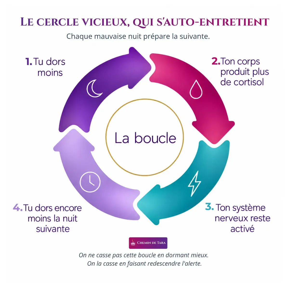 Le cercle vicieux du manque de sommeil, le cortisol monte, le système nerveux reste activé et la nuit suivante se dégrade
