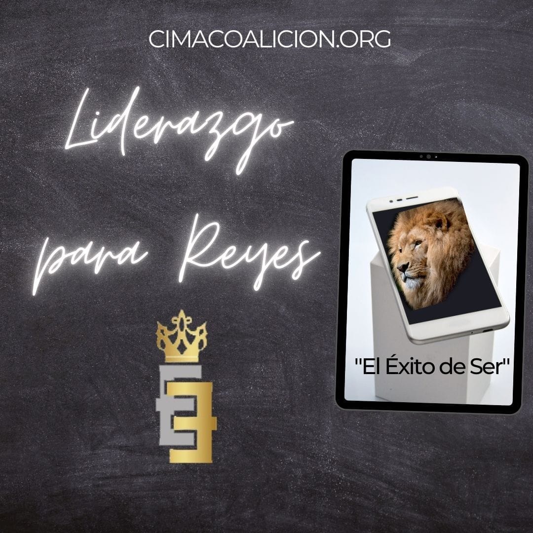 Valores Liderazgo - El Éxito de Ser