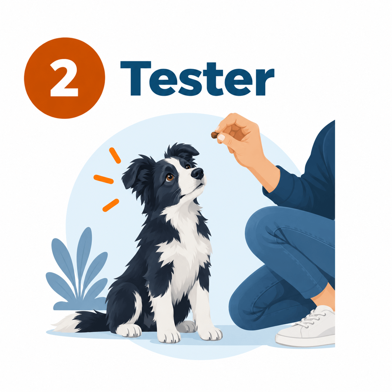 border collie croquettes