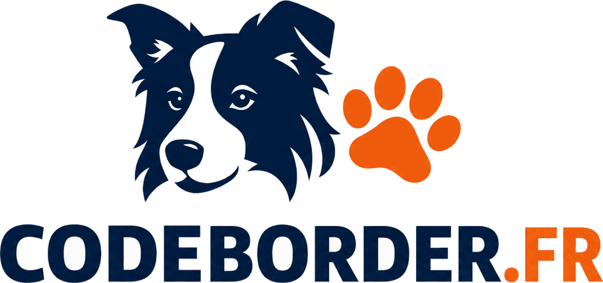 border collie chiot