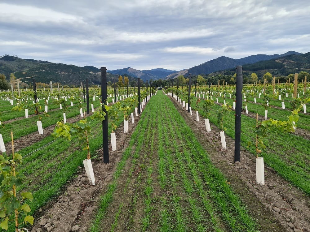 Posts used in agriculture made by Future Post