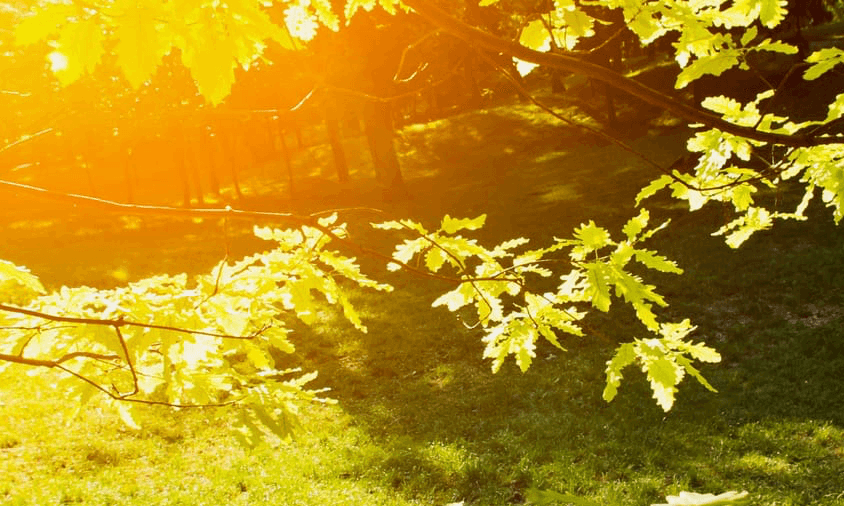 Obtiens le Cahier d'outils - Stop aux ruminations mentales dès maintenant !