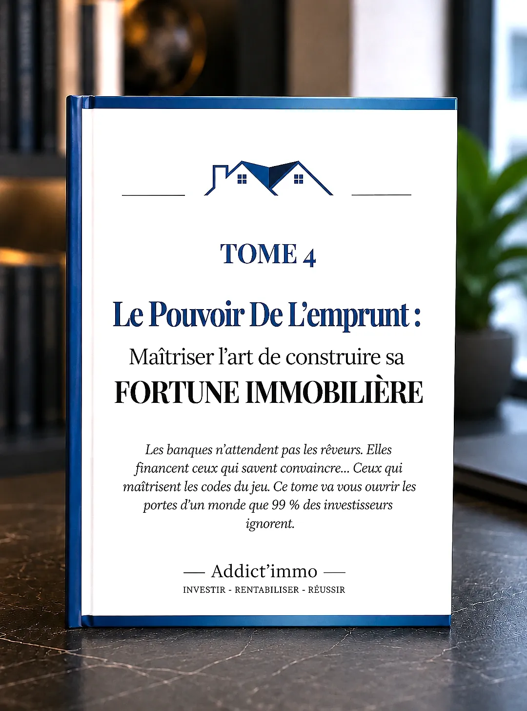 Tome 4 addict'immo - Le Pouvoir de l'emprunt