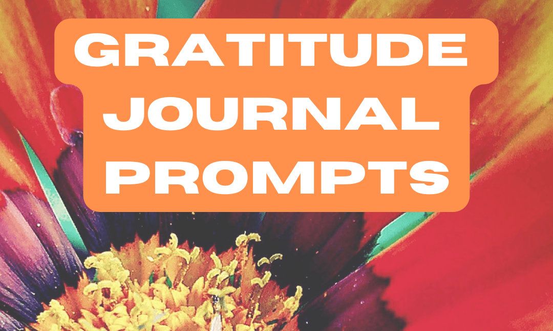 Get your hands on THE GRATITUDE PROMPT LIST & JOURNAL now!