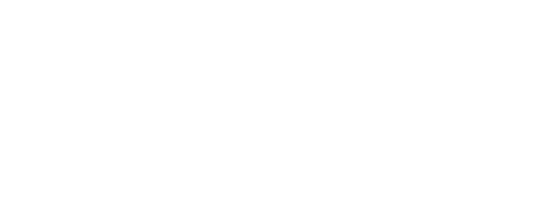 Avis Google