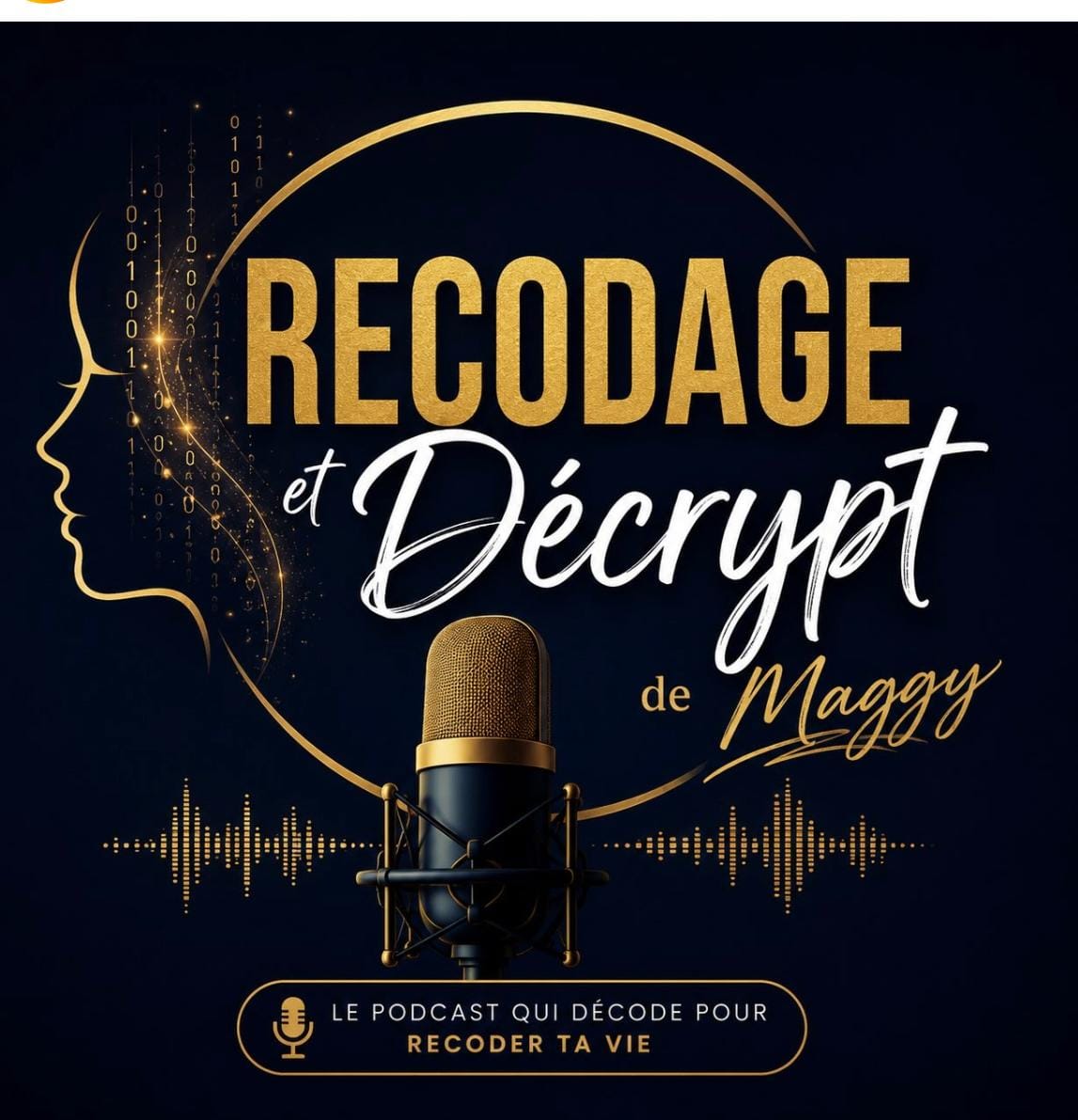 Recodage et Décrypt de Maggy