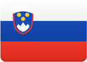 Slovenska spletna stran