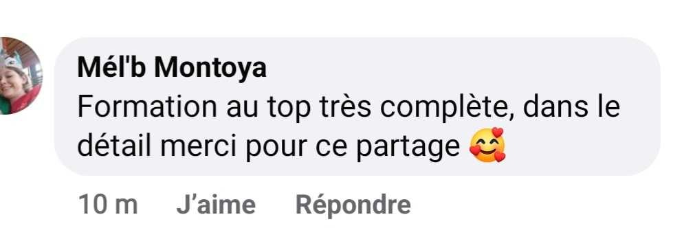 Avis positif sur la formation complète de magnétisme pendule de Sabrina Créquy