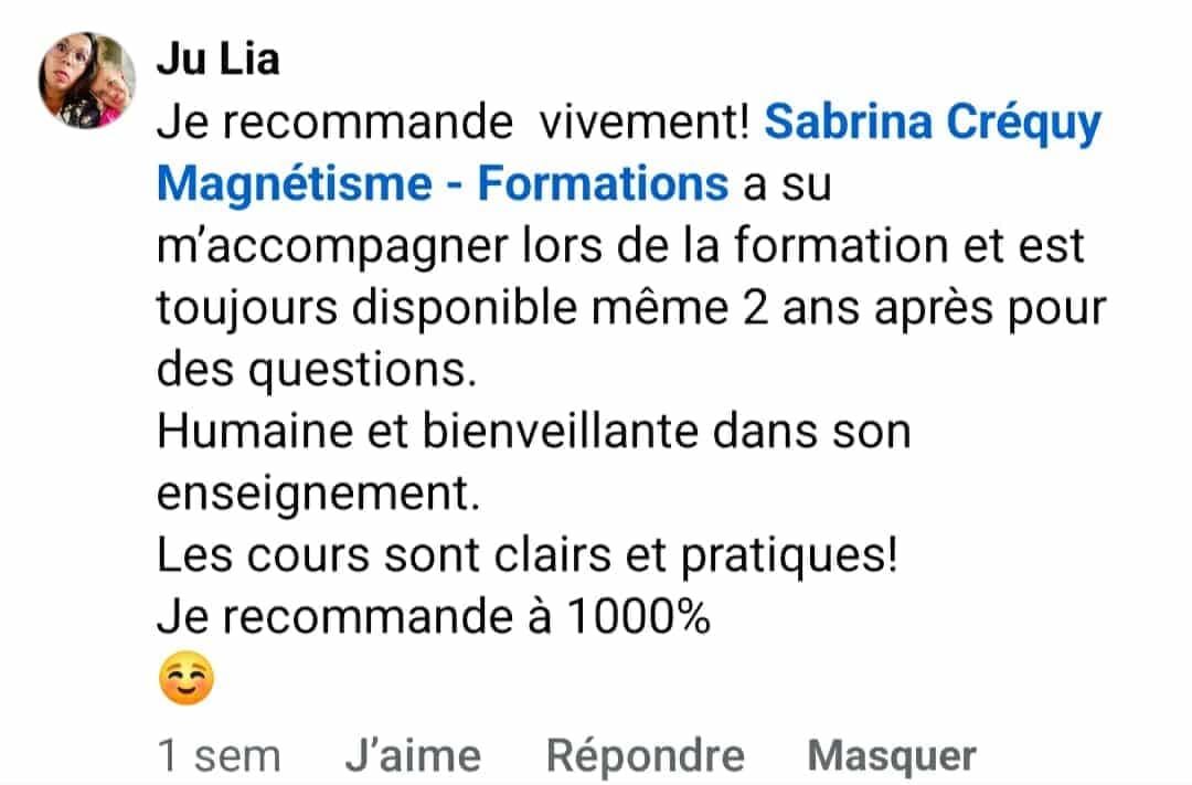 avis authentique sur l'efficacité de la formation au magnétisme