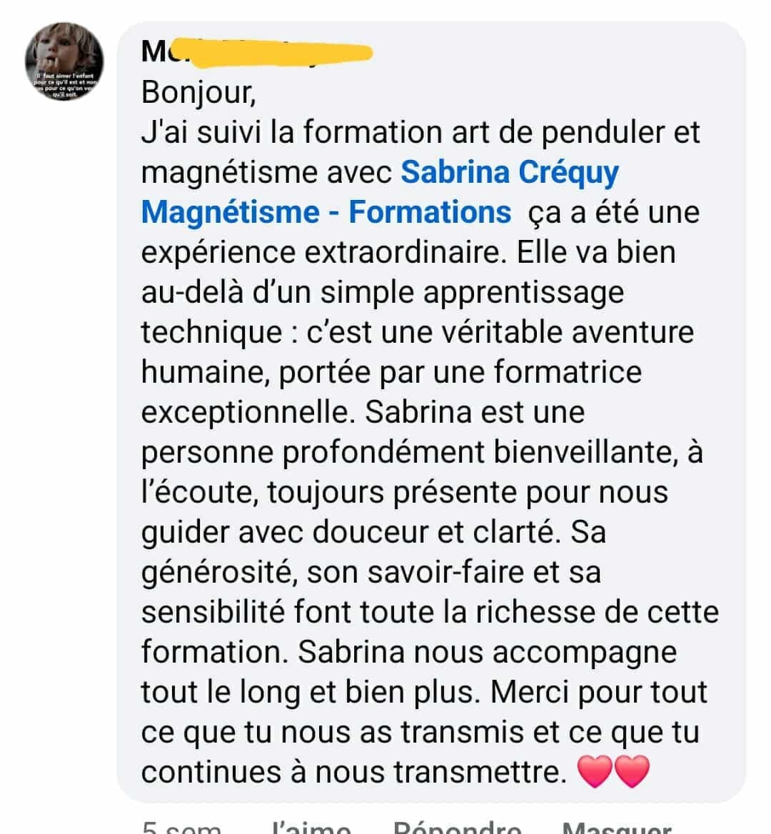 Retour d'un utilisateur sur la fluidité du programme de formation de magnétisme