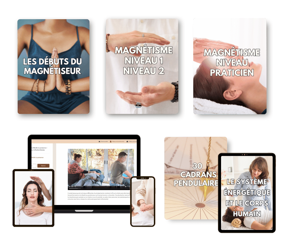 Vue d'ensemble du programme complet de la formation en magnétisme en présentiel Sabrina Créquy