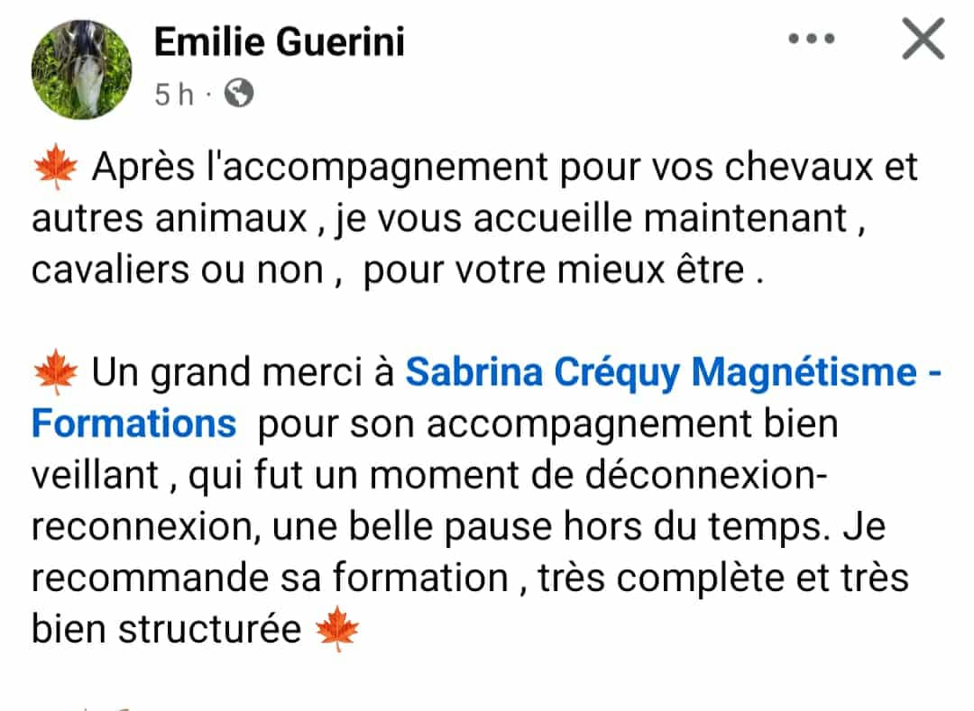 Avis commentaire d'un stagiaire sur la formation de magnétisme en présentiel de Sabrina Créquy