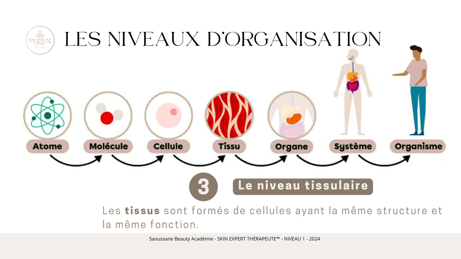 Expertise peau et formation