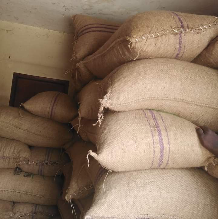 Stored raw cashew nut rcn