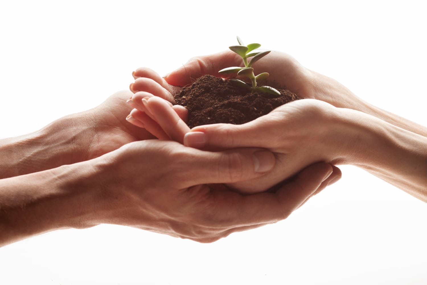 Coaching intuitif