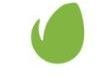 Envato Market