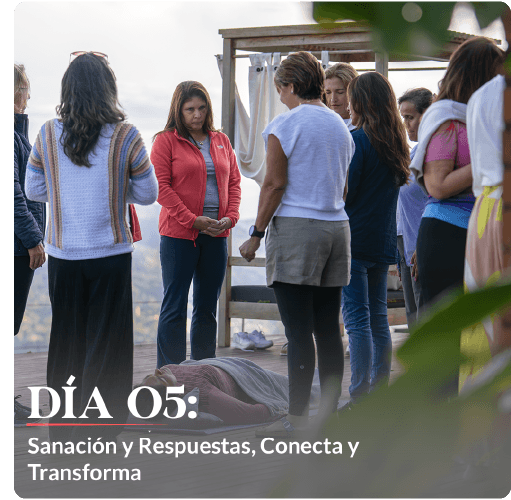 Descripción de la imagen