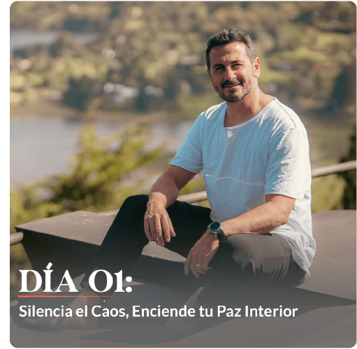 Descripción de la imagen