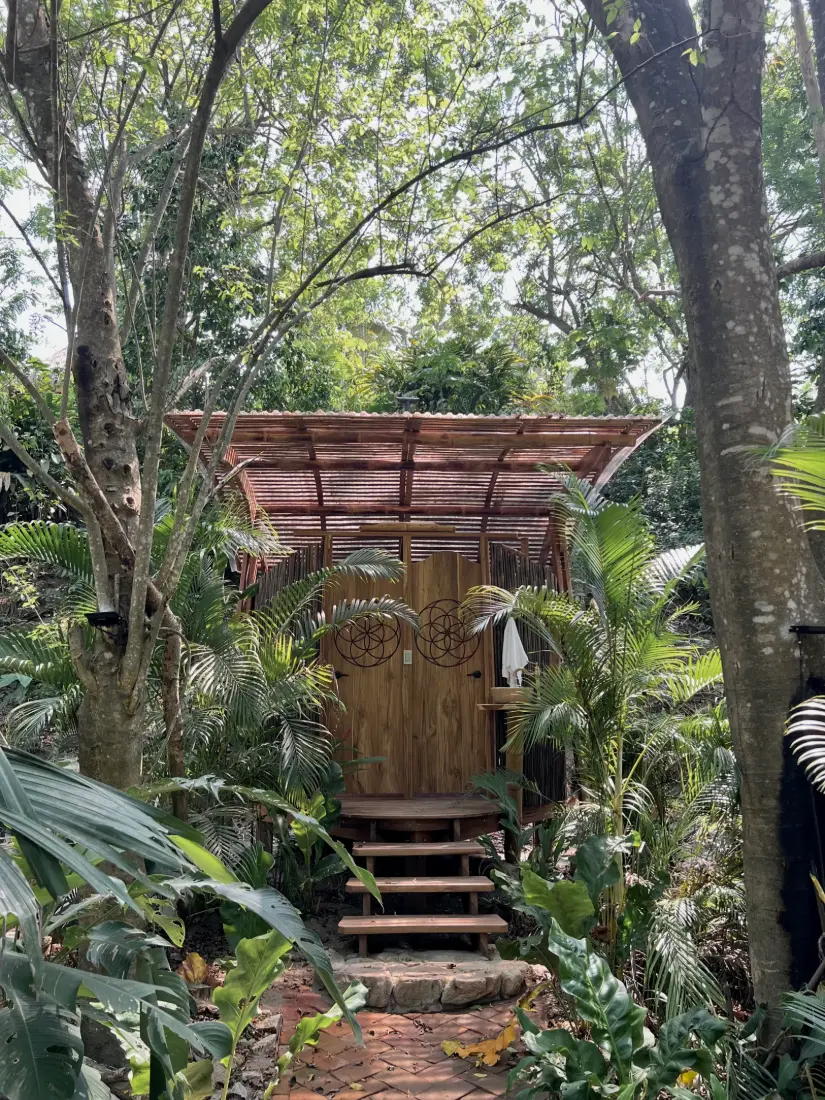 Entrada de una cabaña entre la vegetación de la selva