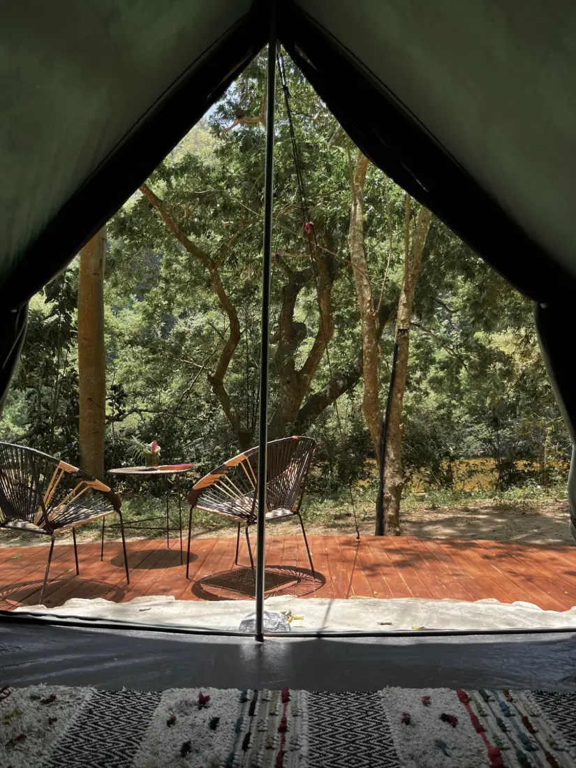 La selva vista desde dentro de la tienda del eco-glamping
