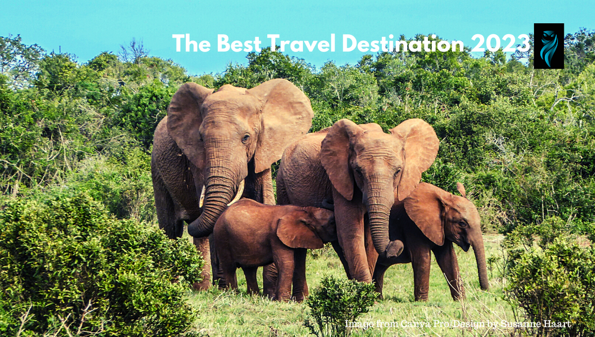 an image with 4 ELEPHANTS in the nature in Kruger National Park, South Africa