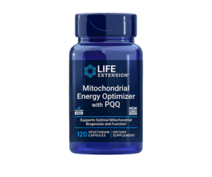 Life Extension