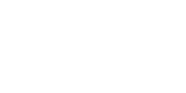 Protoflow Logo
