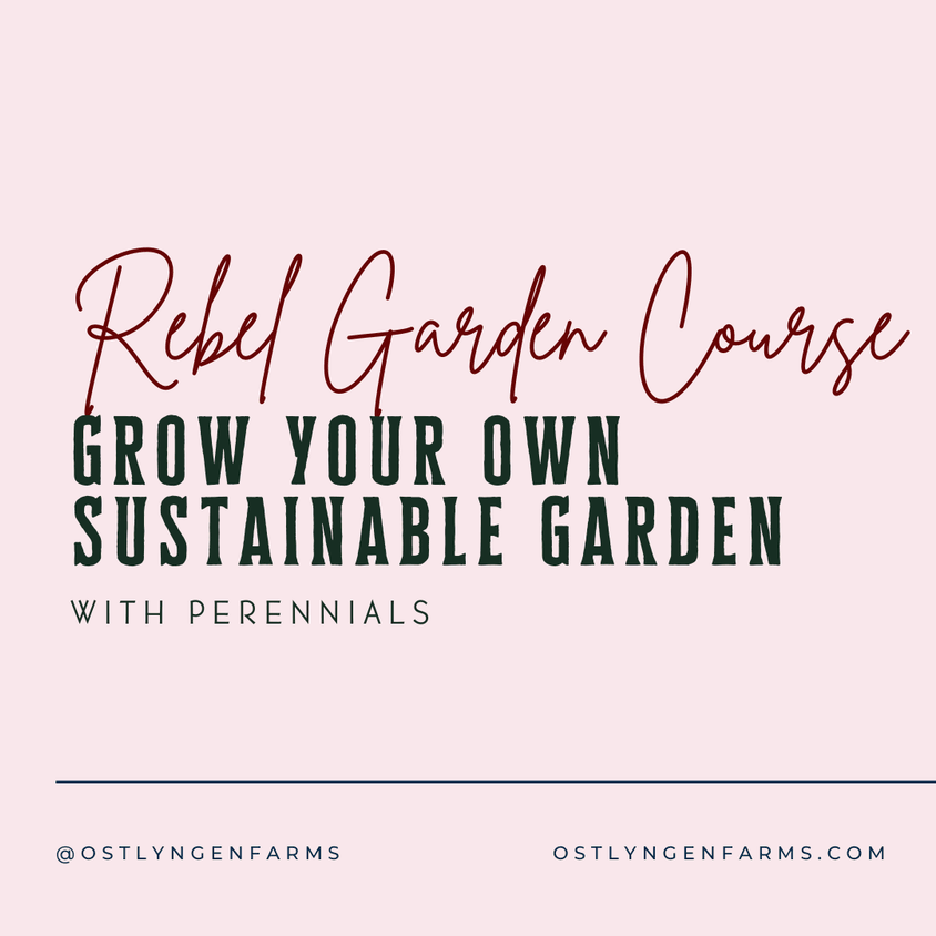 Rebel Garden Course