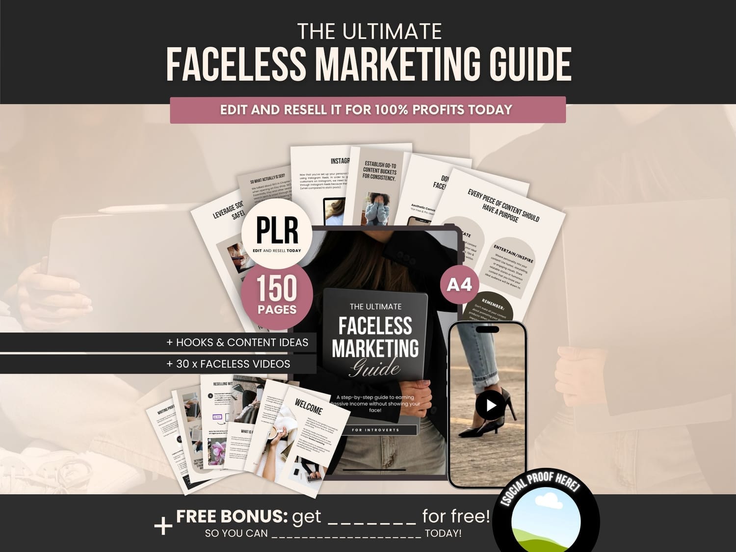 PLR Babysitter Guidebook digital products to resell