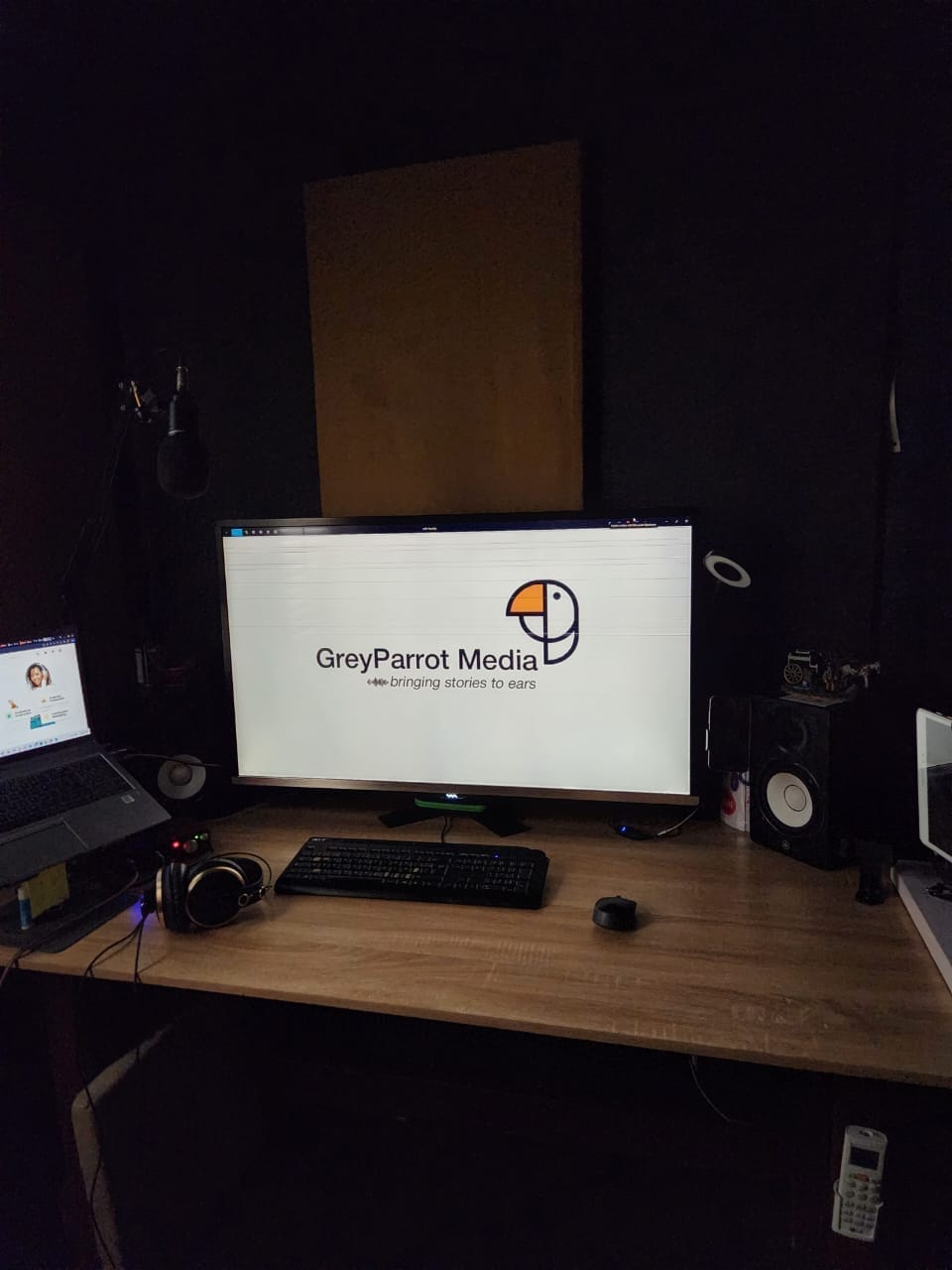 GreyParrot studio