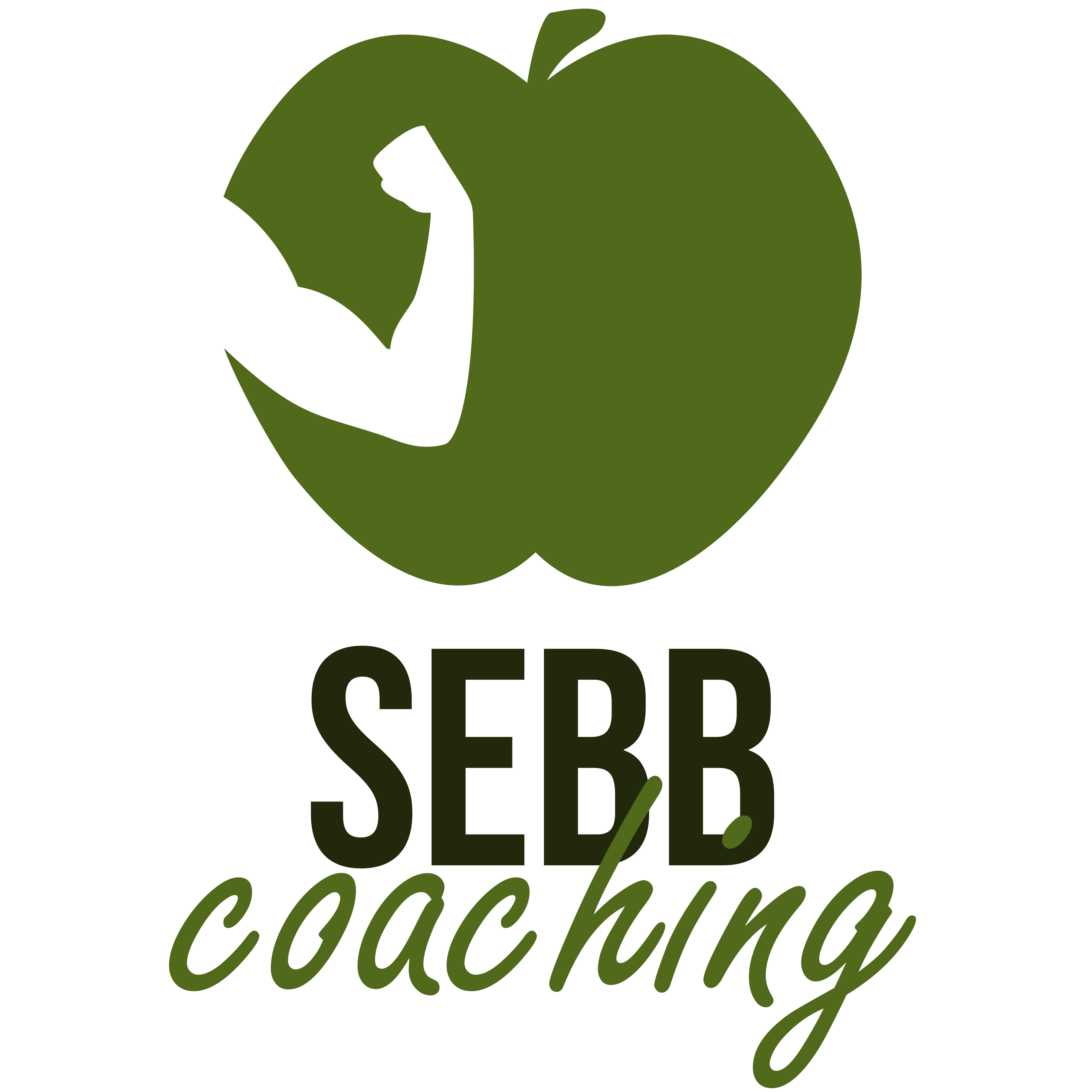 sebb coaching