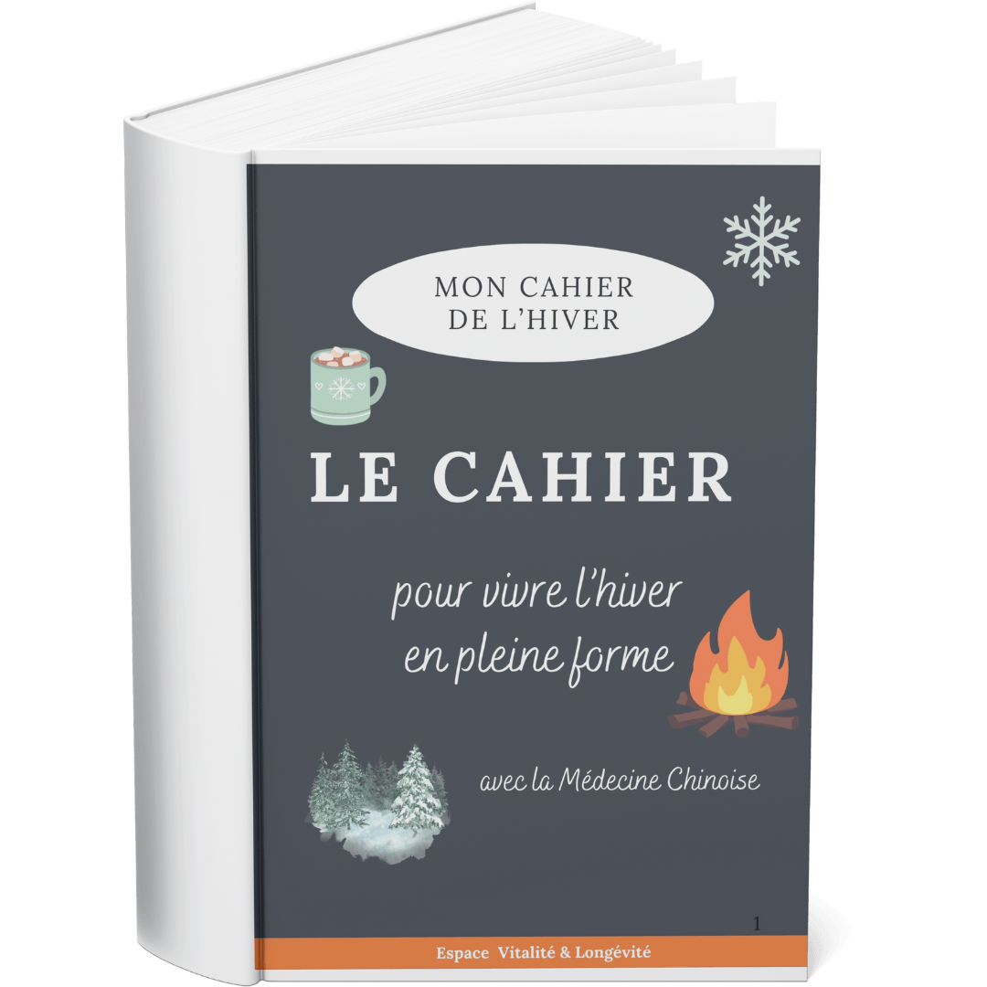 Le Cahier de l'Hiver