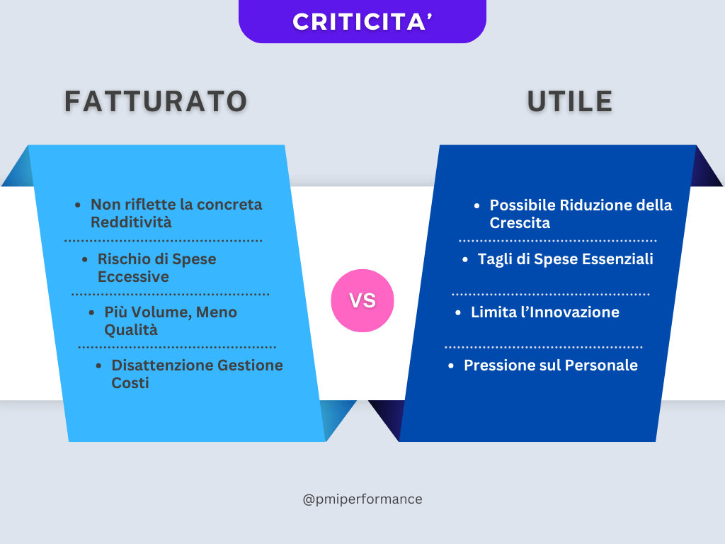 Infografica delle criticità del focalizzarsi su fatturato e utili