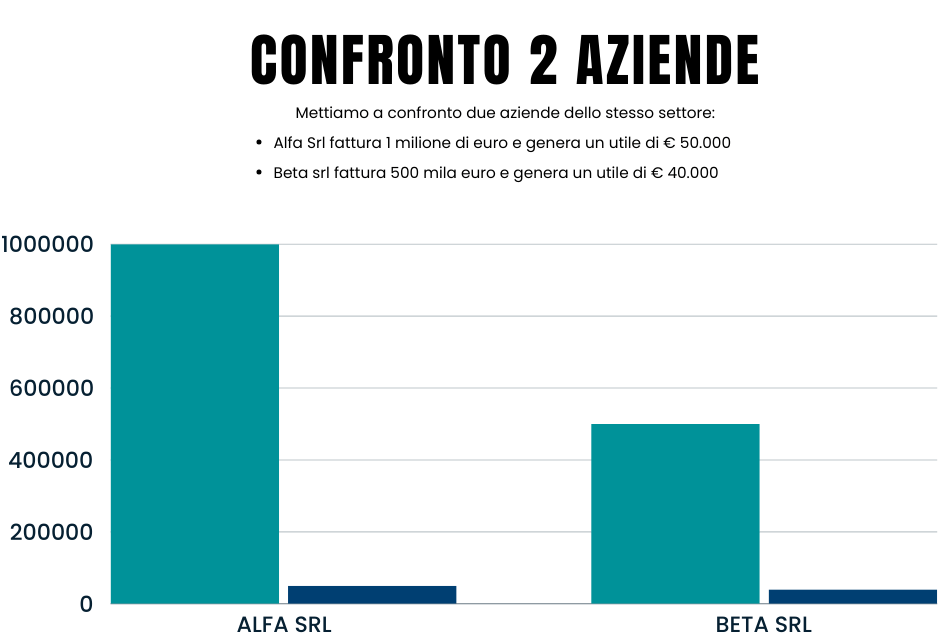 Confronto grafico tra i fatturati e gli utili di due aziende dello stesso settore