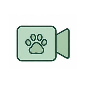 Cas pratiques filmés