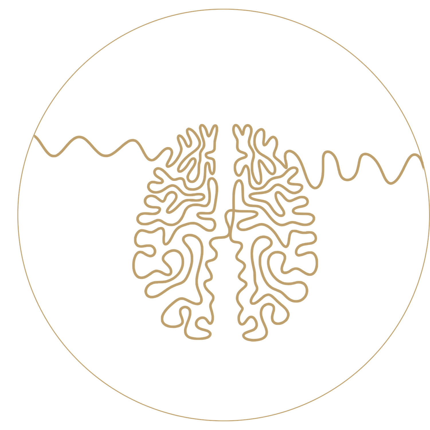 Maîtrise du Stress & Équilibre du Cabinet