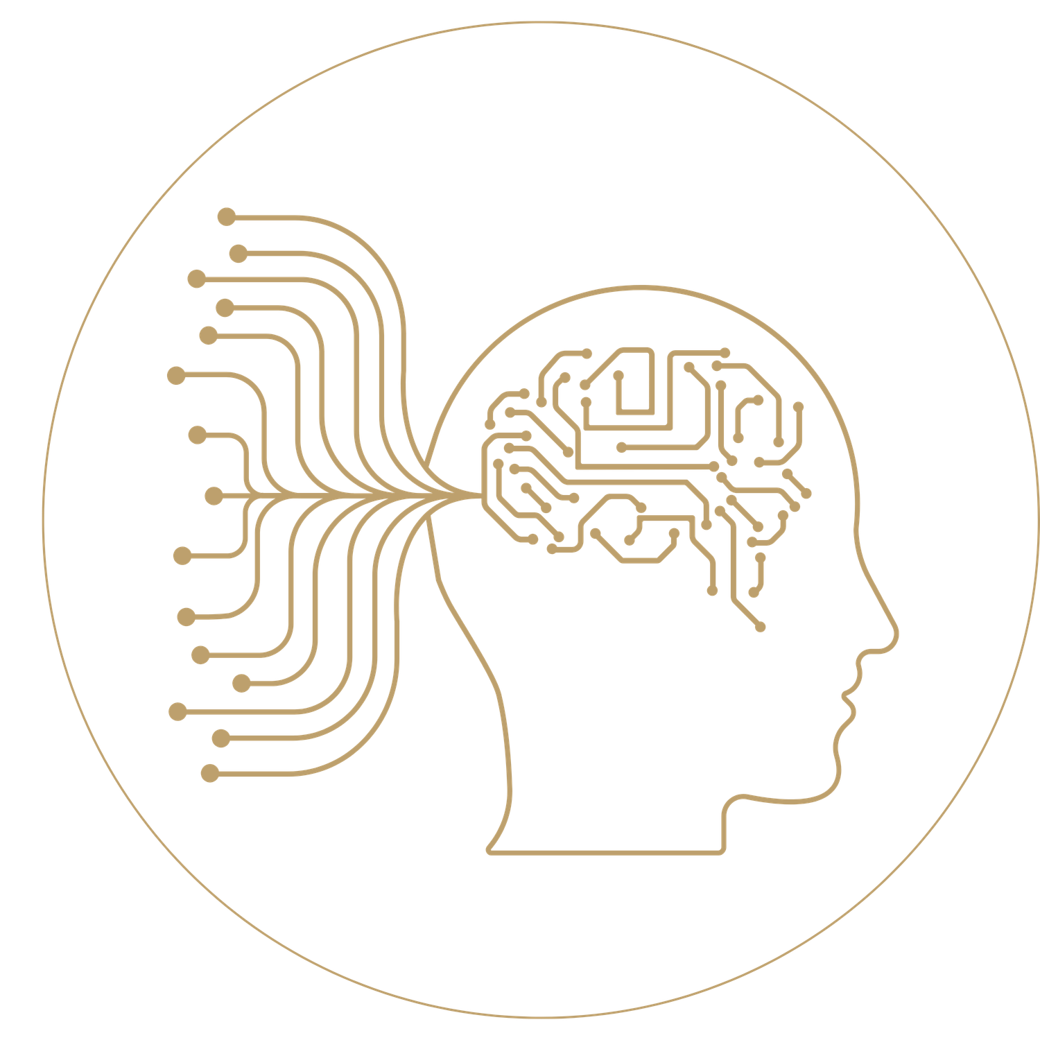 Module 1 | Ingénierie Comportementale