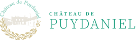 site-chateau-puydaniel