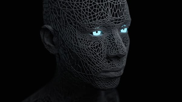 Biometric Face ID Interface