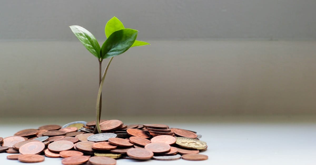 Financial growth concept showing a plant growing from coins