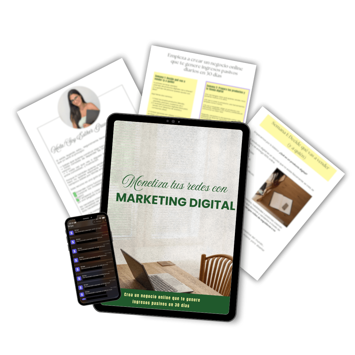 Crea un negocio online que te genere ingresos pasivos en 30 días 