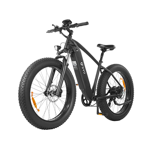 DYU King 750 Fat Tire Electric Bike FL