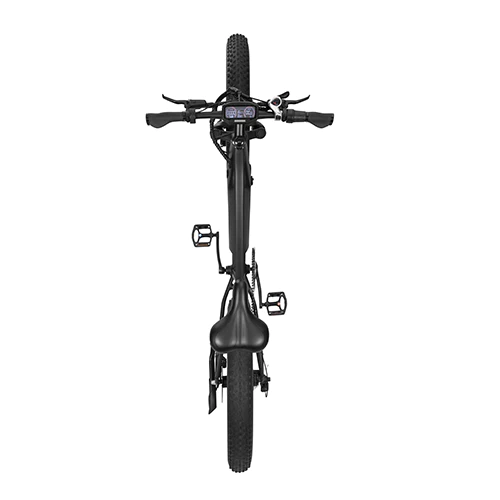 DYU King 750 Fat Tire Electric Bike TD
