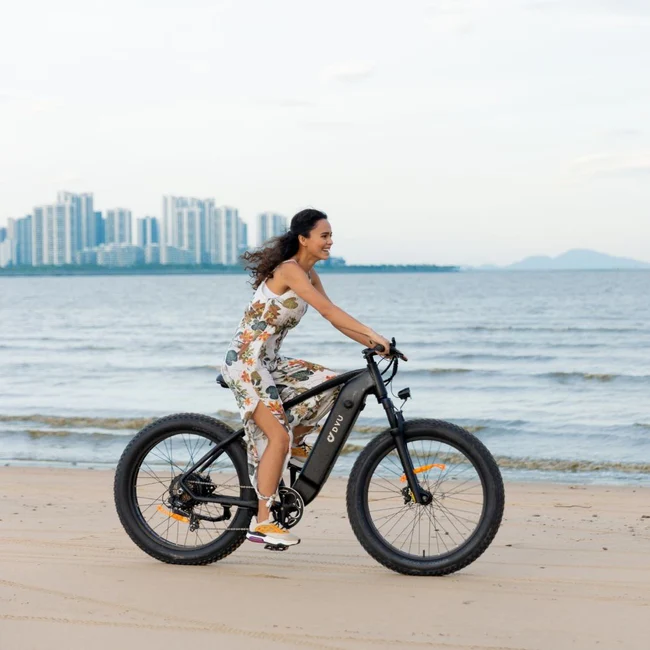 DYU King 750 Fat Tire Electric Bike Beach Ride R