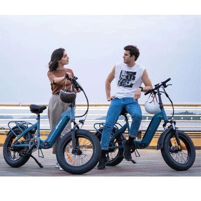 DYU FF500 Folding Fat Tire Electric Bike Boardwalk R