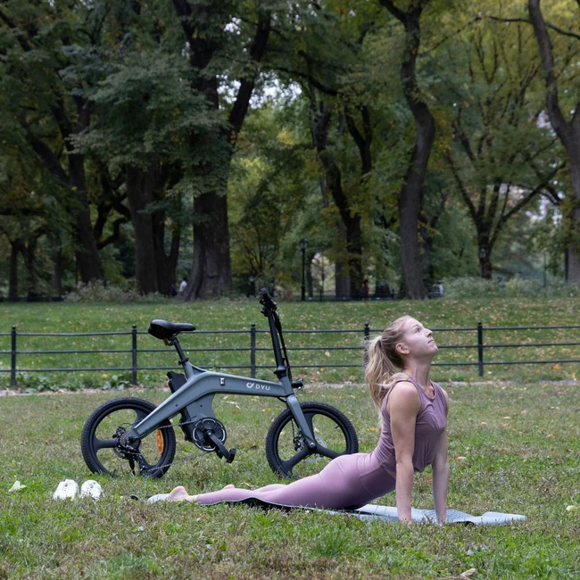 DYU T1 10Ah Pedal-Assist Torque Sensor Foldable Electric Bike Park Yoga R