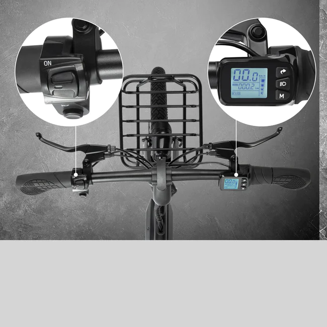 DYU D20 20 Inch Folding Ebike Controls Display TD