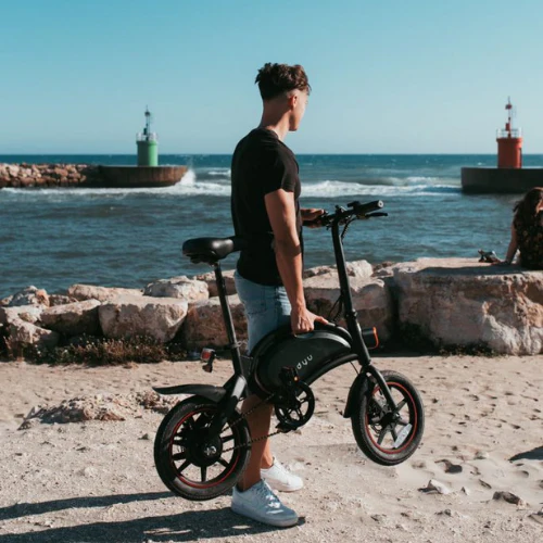 DYU D3F 14 Inch Electric Mini Bike Folding Ebike Carried R