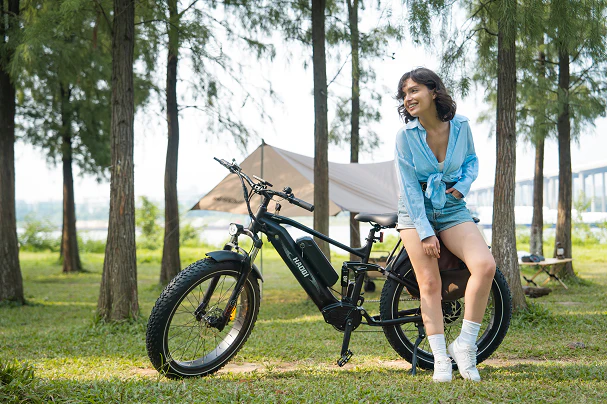 HAOQI Cheetah Full Suspension Dual Battery Electric Bike Lifestyle Black L