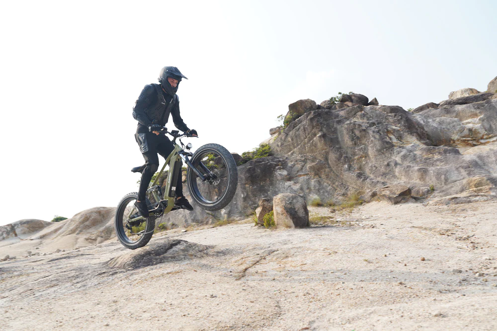 HAOQI Cheetah Full Suspension Electric Bike Lifestyle Jumping FR